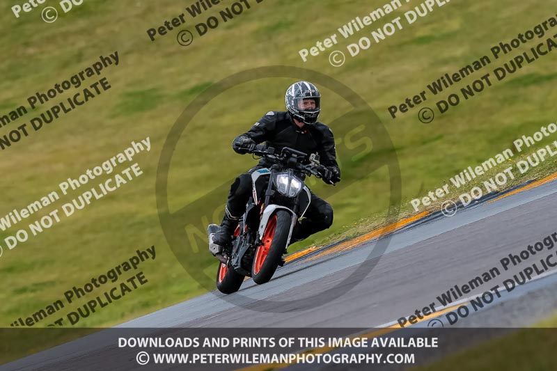 PJ Motorsport 2019;anglesey no limits trackday;anglesey photographs;anglesey trackday photographs;enduro digital images;event digital images;eventdigitalimages;no limits trackdays;peter wileman photography;racing digital images;trac mon;trackday digital images;trackday photos;ty croes